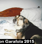 Mason Garafola 2015 (2)